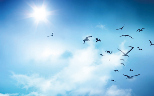 关于科德宝 关于科德宝